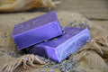 Lavenders & Borage